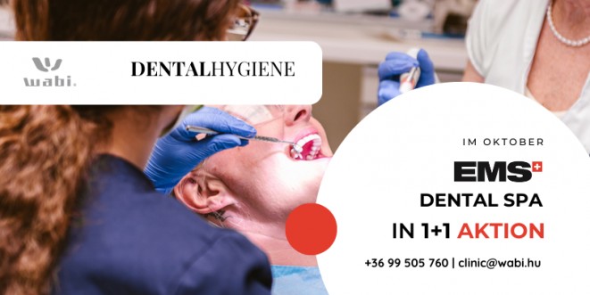 1+1 AKTION auf EMS Dental Spa