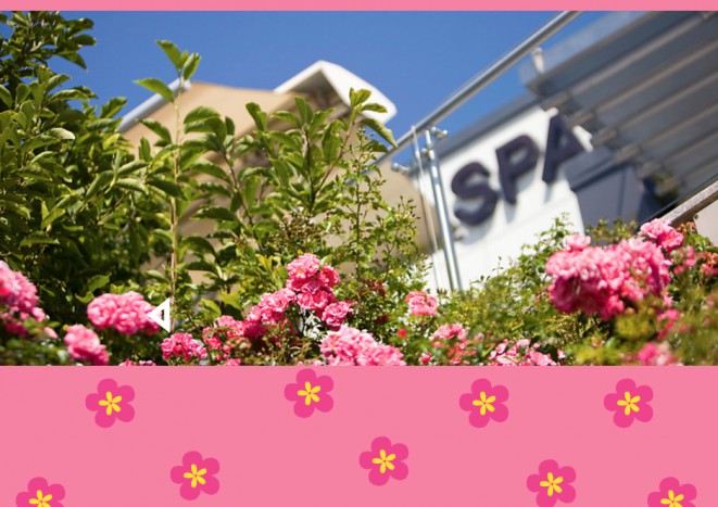 Frühlingsaktion: 2=3 Nächte Unterkunft im Hotel Wabi