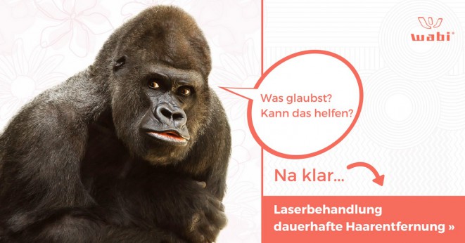 Lézeres szőreltávolítás 20% kedvezménnyel a WABI-ban