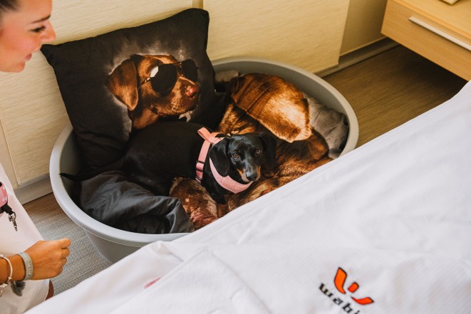 -5% minden szobafoglalásra